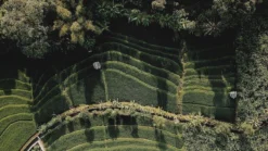 Sola Bestekset Bali - Modern - 9 Persoons - 90 Delig - Zilverwit Edelstaal 18/10 - RVS - Zilver 8 Sola Bestekset Bali - Modern - 9 Persoons - 90 Delig - Zilverwit Edelstaal 18/10 - RVS - Zilver -Sola Winkel 1200x675 1