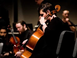 Sola Bestekset Symphony - Klassiek - 6 Persoons - 50 Delig - Zilverwit Edelstaal 18/10 - RVS - Zilver -Sola Winkel 1200x906 11