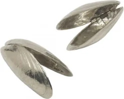 Het Zeeuws Mosselbestek -Sola Winkel 1200x958 1